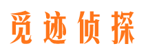 河东市调查公司